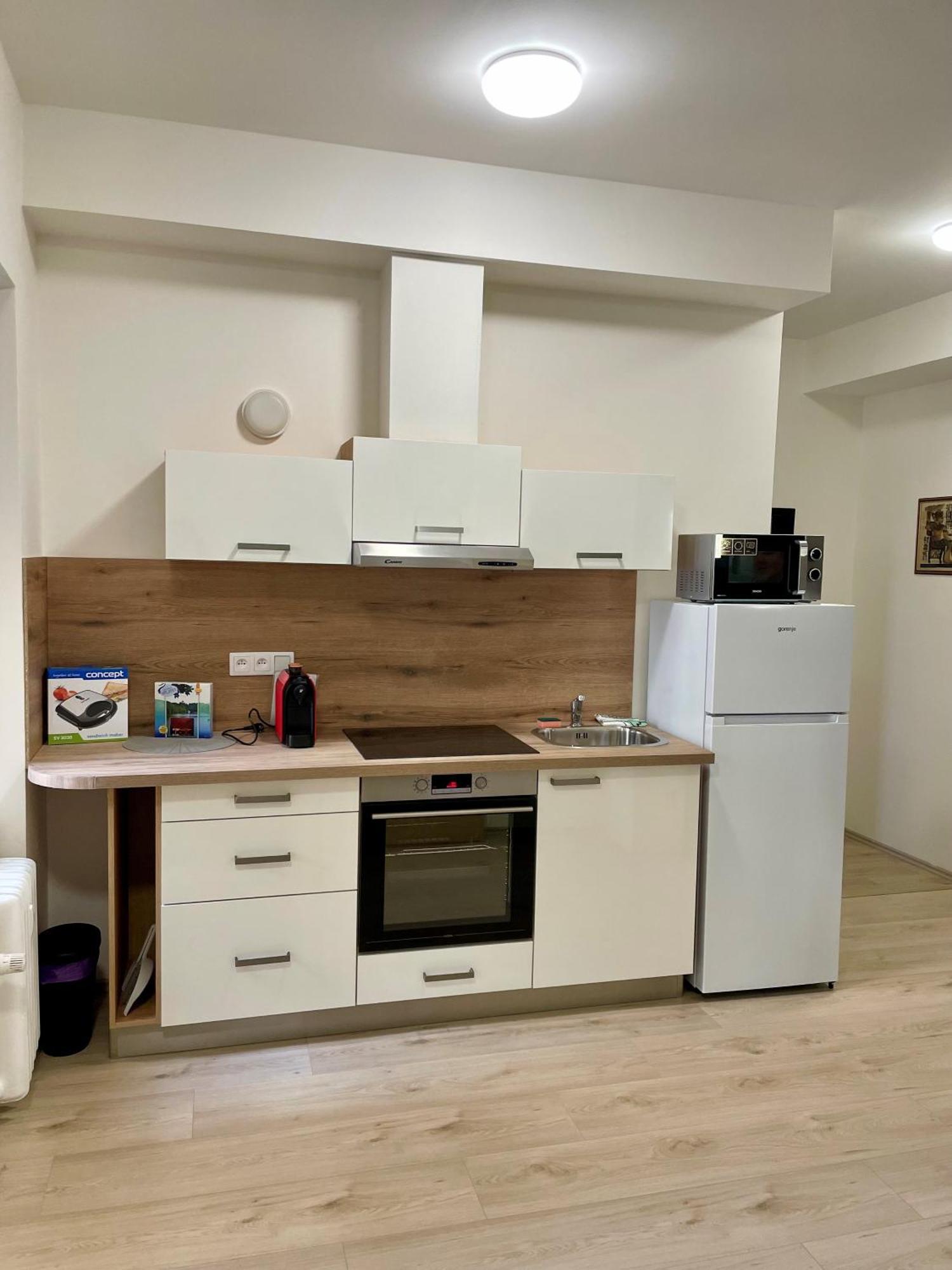 Apartman Josefska Apartman Brünn  Kültér fotó